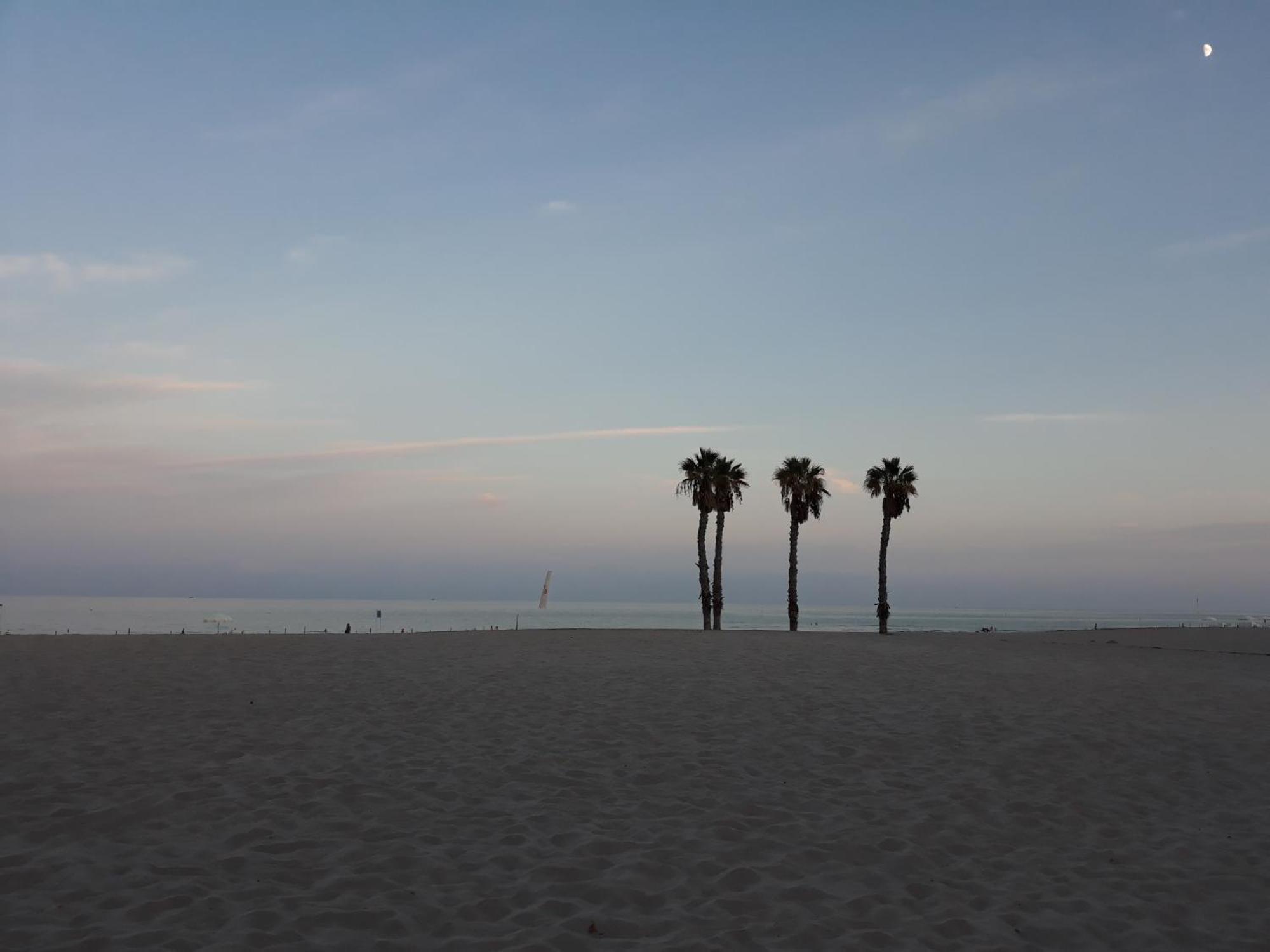 Loft San Juan Beach Alicante Rum bild